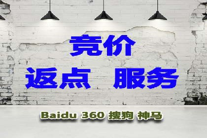专业SEM托管助力企业快速成长案例分析